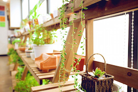 绿植天地手作饮品吧台